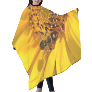 Personality  Honeybee Collects Nectar On The Flowers Of A Sunflower Hair Cutting Cape