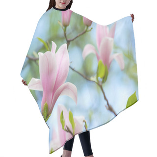 Personality  Background With Blooming Pink Magnolia Flowers Hair Cutting Cape