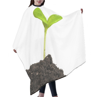 Personality  Heap Dirt With A Green Sprout Hair Cutting Cape