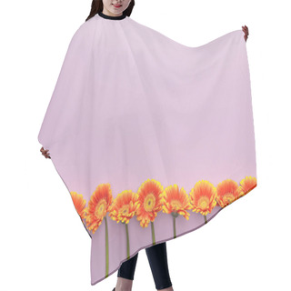 Personality  Top View Of Orange Gerbera Flowers On Violet Background With Copy Space Hair Cutting Cape