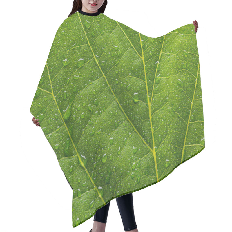 Personality  Green Leaf With Drops Hair Cutting Cape