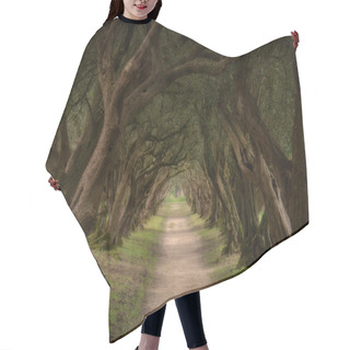 Personality  Olive Trees Tunnel In Spain Hair Cutting Cape