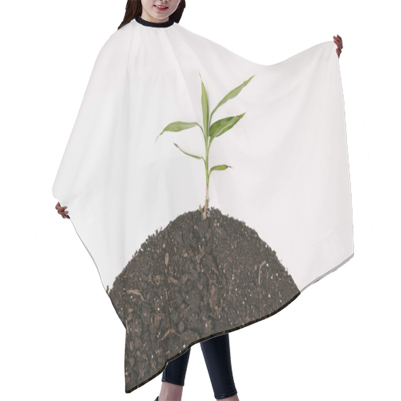 Personality  Earth Day Hair Cutting Cape