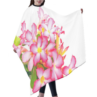 Personality  Impala Lily Hair Cutting Cape