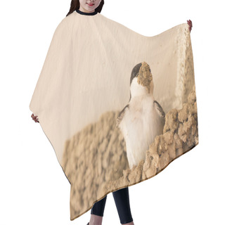 Personality  Small Urban Bird Building Its Nest  Hair Cutting Cape