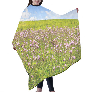 Personality  Scenic View Of Wildflowers Field In Central Kentucky In Summer Hair Cutting Cape