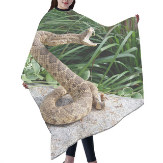Personality  Rattle Snake On A Rock Hair Cutting Cape