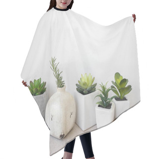 Personality  Variety Of Succulents In Pots, Home Decoration Hair Cutting Cape