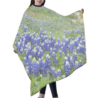 Personality  Selective Focus View Of Texas Bluebonnets On A Hillside Hair Cutting Cape