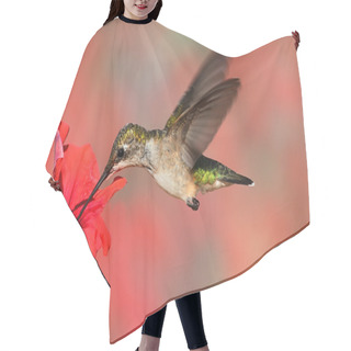 Personality  Ruby-throated Hummingbird In Flight Hair Cutting Cape