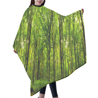 Personality  Forest Trees. Hair Cutting Cape