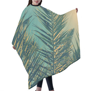 Personality  Palm Tree Leaves And The Sky, Summertime Travel Background Hair Cutting Cape