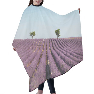 Personality  Painted Lavander Field With Purple Flowers Near Blue Sky  Hair Cutting Cape