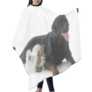 Personality  Rotweiler And Chicken Hair Cutting Cape