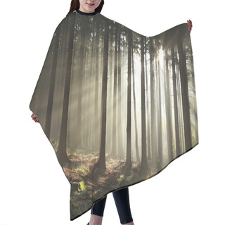 Personality  Sunrise In Misty Autumn Forest Hair Cutting Cape