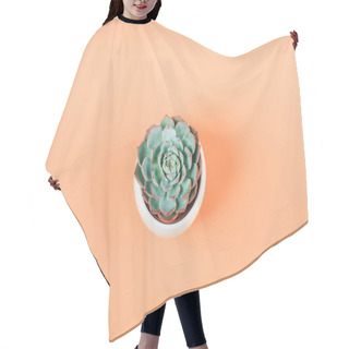 Personality  Succulent Plant On Pale Orange Background Hair Cutting Cape