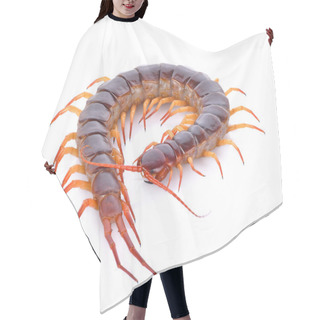 Personality  Centipede On White Background Hair Cutting Cape