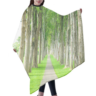 Personality  Road Through Row Of Trees Hair Cutting Cape