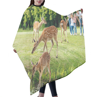 Personality  Family Looking At Deer In Park Hair Cutting Cape