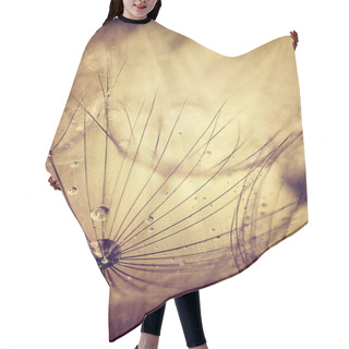Personality  Dandelion Flowers Background Hair Cutting Cape