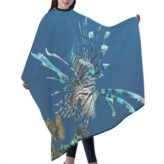 Personality  Lionfish Underwater In The Water  Hair Cutting Cape