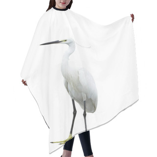 Personality  Egret Isolated On White Background Hair Cutting Cape