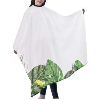 Personality  Top View Of Green Leaves Of Tropical Plants On White Background Hair Cutting Cape