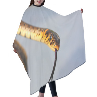Personality  Young Snake Hair Cutting Cape