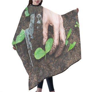 Personality  Young Plants Growing Hair Cutting Cape