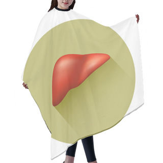 Personality  Semi-realistic Vector Human Liver Hair Cutting Cape