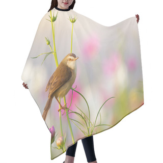 Personality  Bird On Flower In The Garden Hair Cutting Cape
