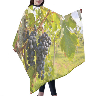Personality  Photo Picture Of Fruit Background Texture Pattern Hair Cutting Cape