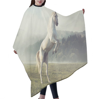 Personality  Strong White Horse On The Autumn Meadow Hair Cutting Cape