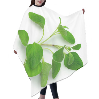 Personality  Freshly Picked Oregano Leaves Isolated On White From Above. Hair Cutting Cape