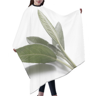 Personality  Sage (Salivia Officinalis) Leaves Hair Cutting Cape