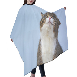 Personality  Happy Cat On Blue Background Hair Cutting Cape