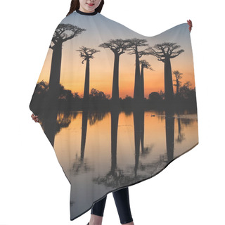 Personality  Baobabs On The Sky Background Hair Cutting Cape