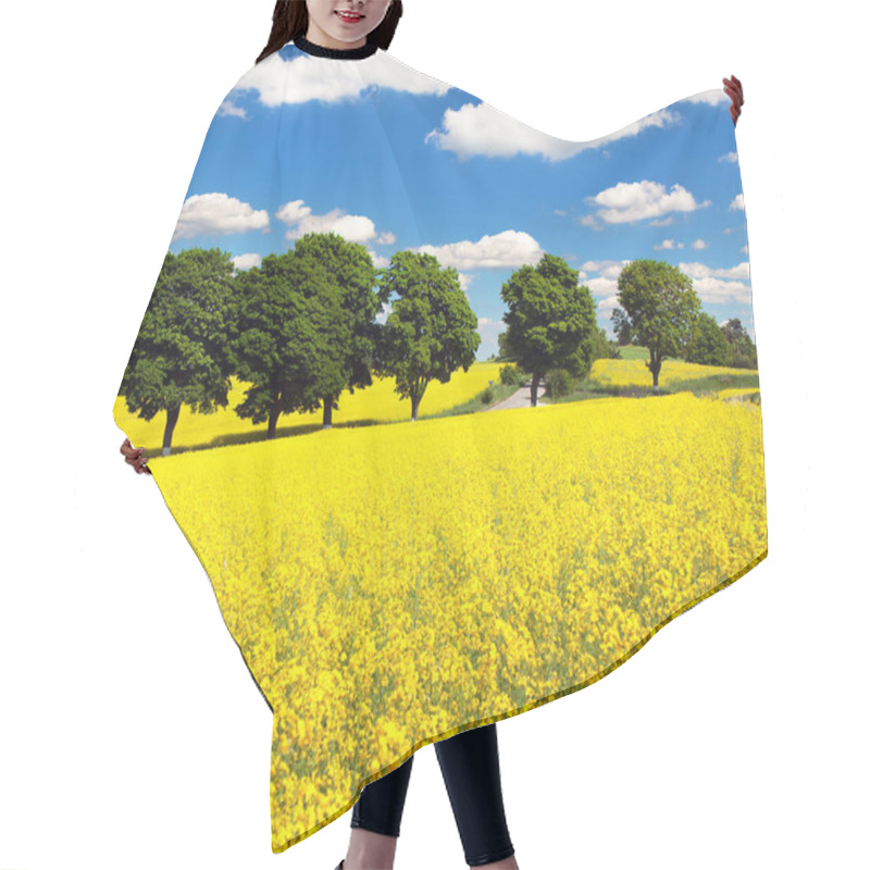 Personality  Field Of Rapeseed, Canola Or Colza Hair Cutting Cape