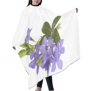 Personality  Blue Flowers And Leaves Of Vinca Isolated On White Background Hair Cutting Cape