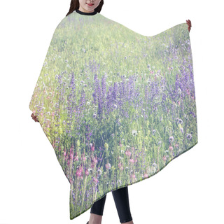 Personality  Enchanting Field Full Of Beautiful Spontaneous And Colorful Wild Flowers. Nature Spring Background, Soft Focus And Blur Hair Cutting Cape