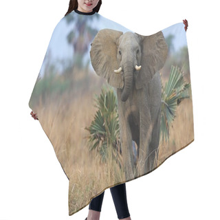 Personality  Elephant In The Beautiful Nature Habitat Hair Cutting Cape