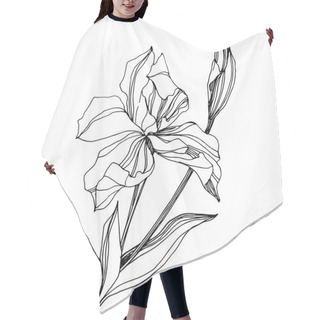 Personality  Vector Iris Floral Botanical Flower. Wild Spring Leaf Wildflower Isolated. Black And White Engraved Ink Art. Isolated Iris Illustration Element On White Background. Hair Cutting Cape
