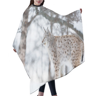 Personality  Lynx In Winter Landscape Hair Cutting Cape