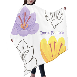 Personality  Saffron Flowers. Contours Of Flowers On A White Background. Hair Cutting Cape