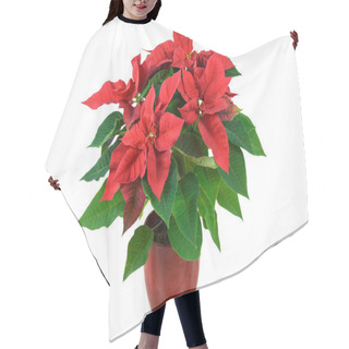 Personality  Red Christmas Poinsettia Hair Cutting Cape