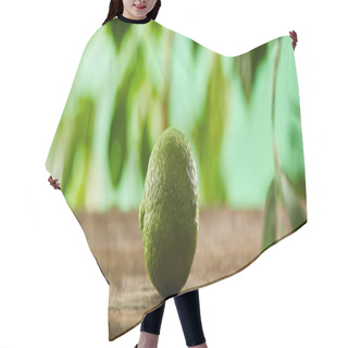 Personality  Panoramic Shot Of Fresh And Whole Lime On Wooden Surface  Hair Cutting Cape