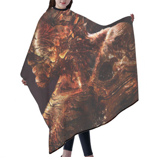 Personality  Photo Art. Portrait Of A Man With A Burning Texture Of The Skin Hair Cutting Cape