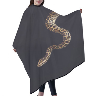 Personality  Tiger Python, Black And Yellow, Against Black Background  Hair Cutting Cape