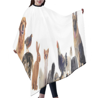 Personality  Group Of Pets Hair Cutting Cape
