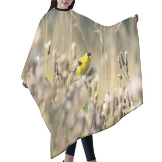 Personality  An Adorable Yellow American Goldfinch Perched On A Flower In The Field Hair Cutting Cape